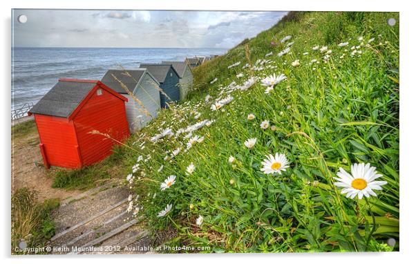 Daisies  and Hut Acrylic by Keith Mountford