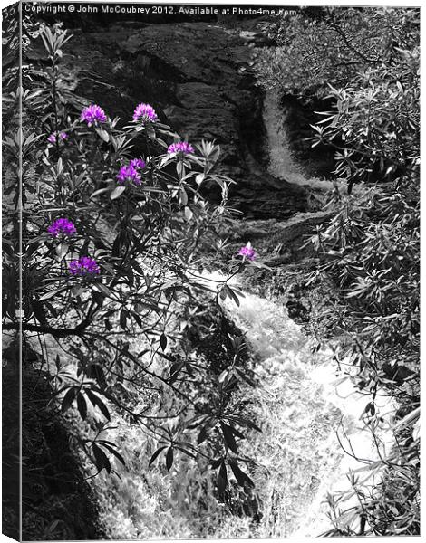 Glen River in Donard Forest Canvas Print by John McCoubrey