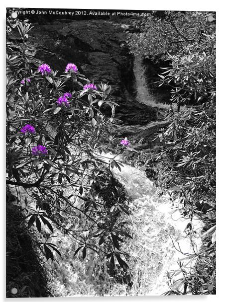 Glen River in Donard Forest Acrylic by John McCoubrey