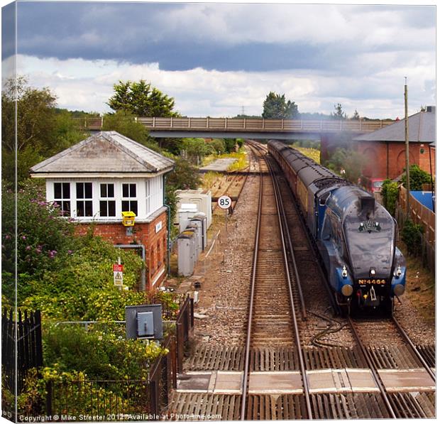 The Dorset Coast Express 2 Canvas Print by Mike Streeter
