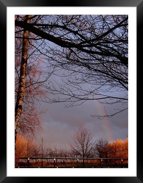 Rainbow Skys Framed Mounted Print by Lucy Courtney