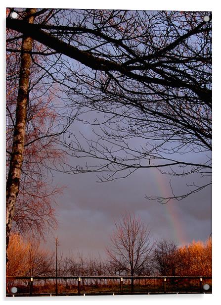 Rainbow Skys Acrylic by Lucy Courtney