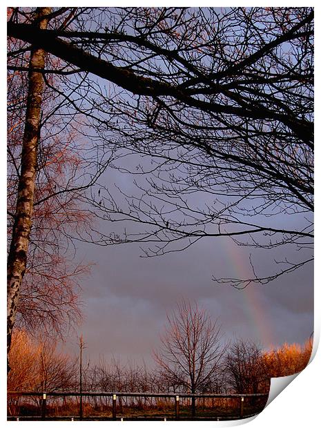 Rainbow Skys Print by Lucy Courtney