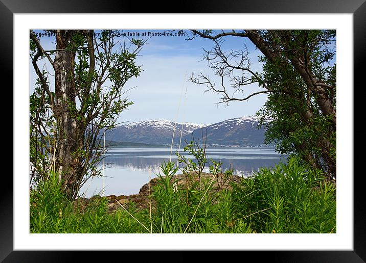 Fjordside Framed Mounted Print by Phil Wareham