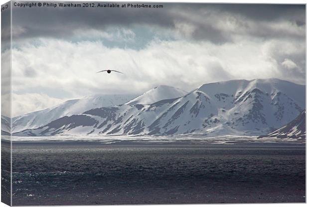 Flying in the Arctic Canvas Print by Phil Wareham