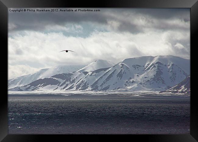 Flying in the Arctic Framed Print by Phil Wareham