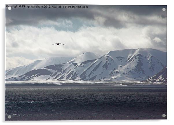 Flying in the Arctic Acrylic by Phil Wareham