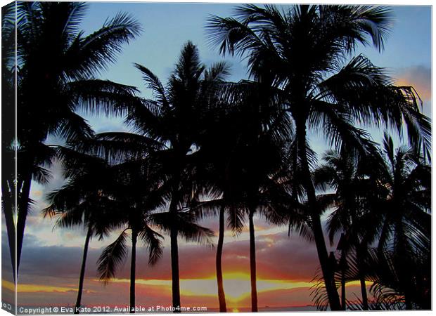 Waikiki Sunset Through Palms Canvas Print by Eva Kato