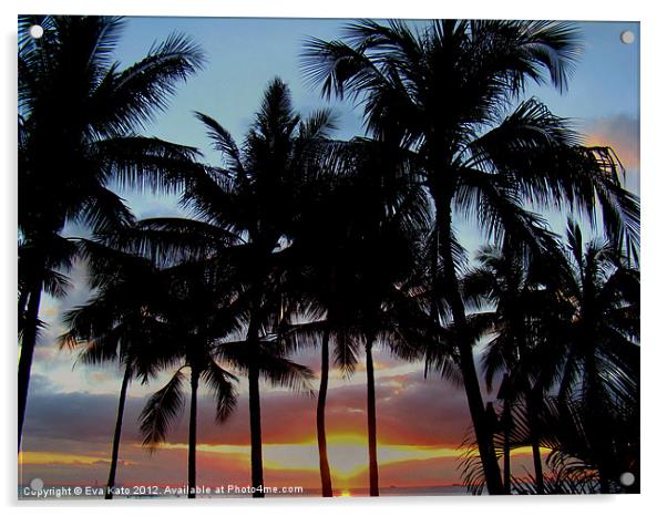Waikiki Sunset Through Palms Acrylic by Eva Kato