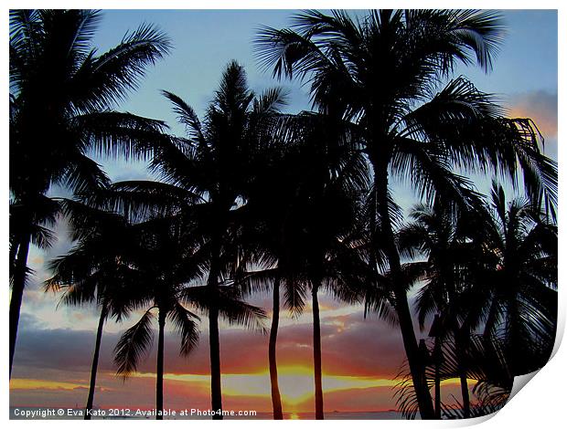 Waikiki Sunset Through Palms Print by Eva Kato