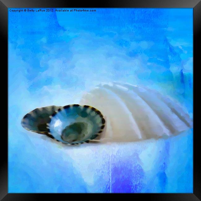Seashells in Blue Framed Print by Betty LaRue