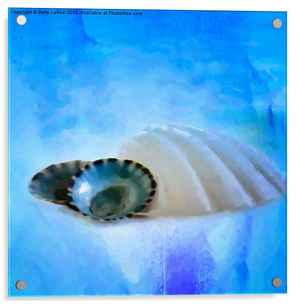 Seashells in Blue Acrylic by Betty LaRue