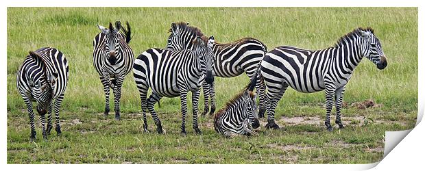 Gathering of Barcodes Print by Tony Murtagh