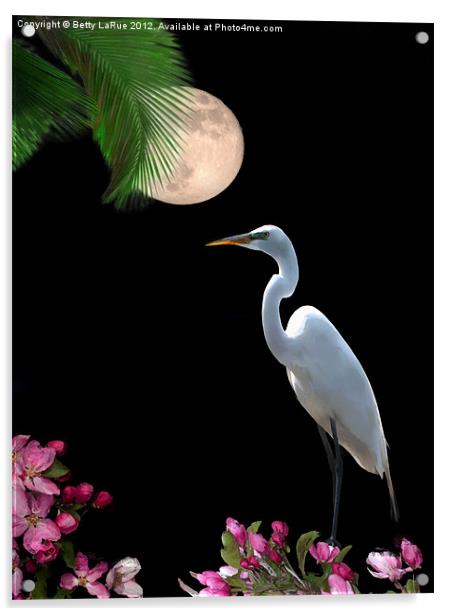 Moon Over Florida Acrylic by Betty LaRue