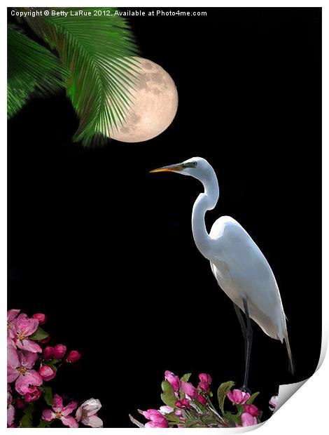 Moon Over Florida Print by Betty LaRue