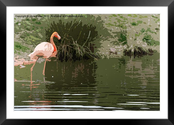 Flamingo Framed Mounted Print by Chris Barker