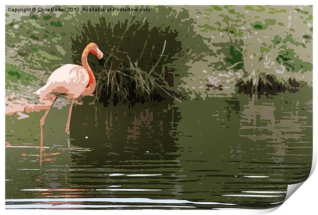 Flamingo Print by Chris Barker