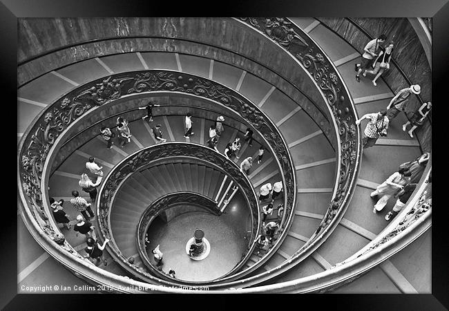 Vatican Spiral Staircase Framed Print by Ian Collins