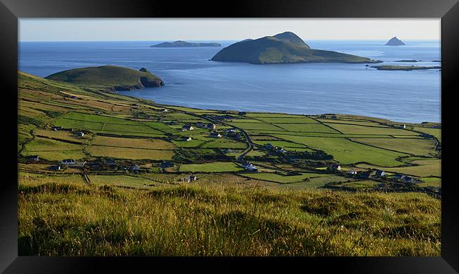 View of the Blasket Islands Framed Print by barbara walsh
