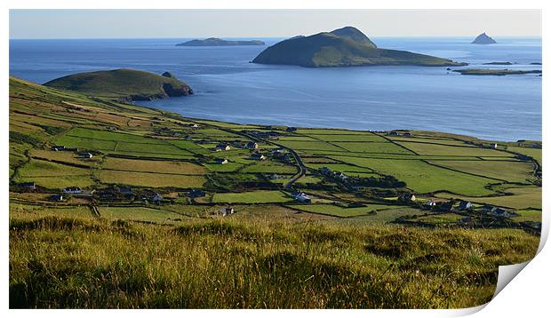 View of the Blasket Islands Print by barbara walsh