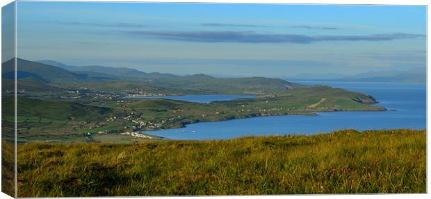 View of Dingle and Ventry Bay Canvas Print by barbara walsh