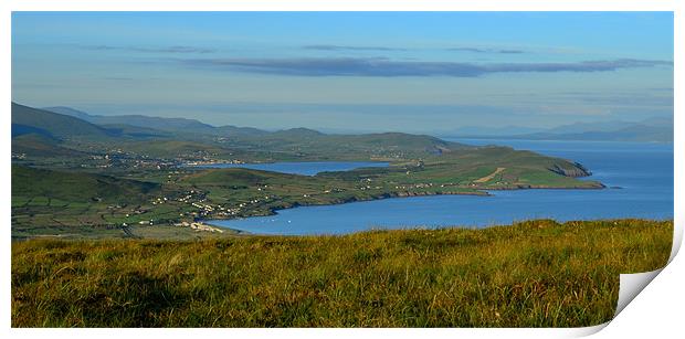 View of Dingle and Ventry Bay Print by barbara walsh