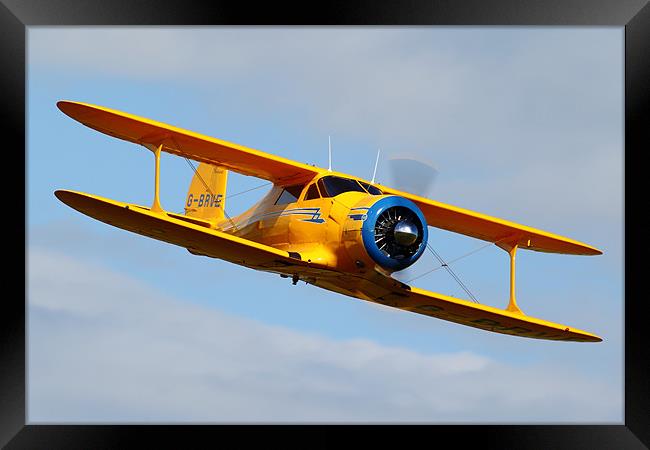 Beech Staggerwing Framed Print by duncan speirs