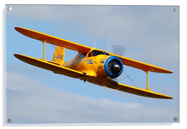 Beech Staggerwing Acrylic by duncan speirs