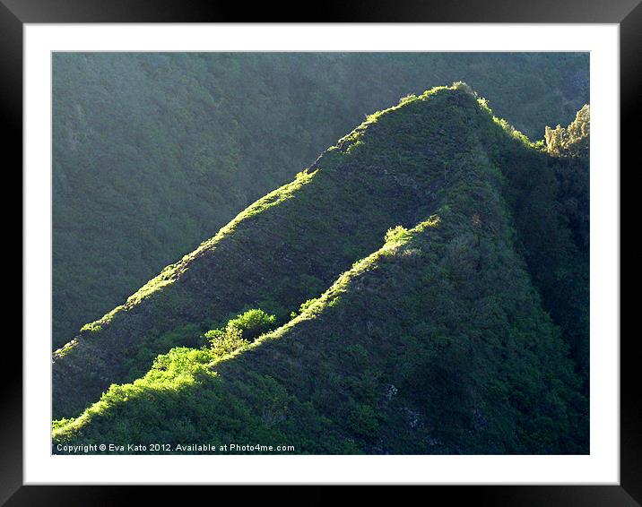 Hawaiian Jungle Ridges Framed Mounted Print by Eva Kato