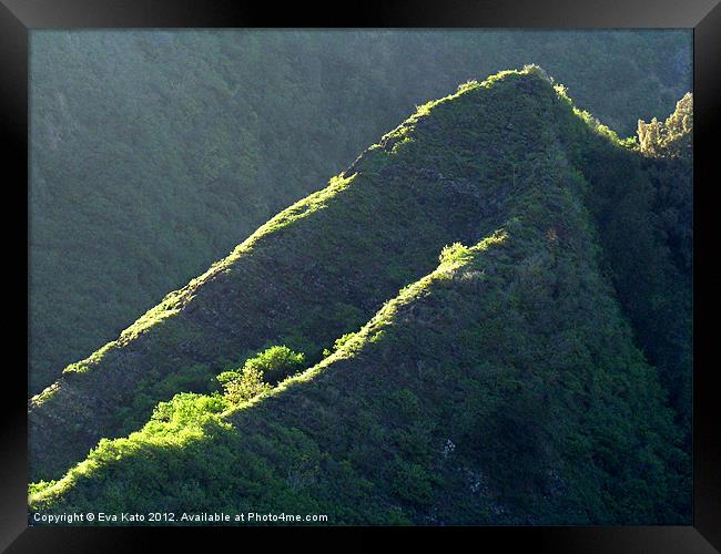 Hawaiian Jungle Ridges Framed Print by Eva Kato