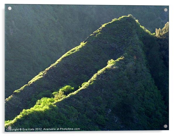 Hawaiian Jungle Ridges Acrylic by Eva Kato