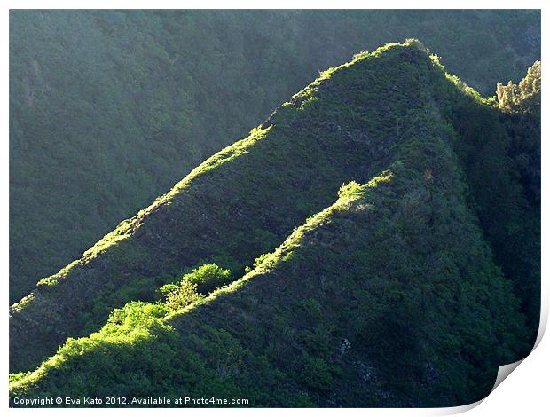 Hawaiian Jungle Ridges Print by Eva Kato