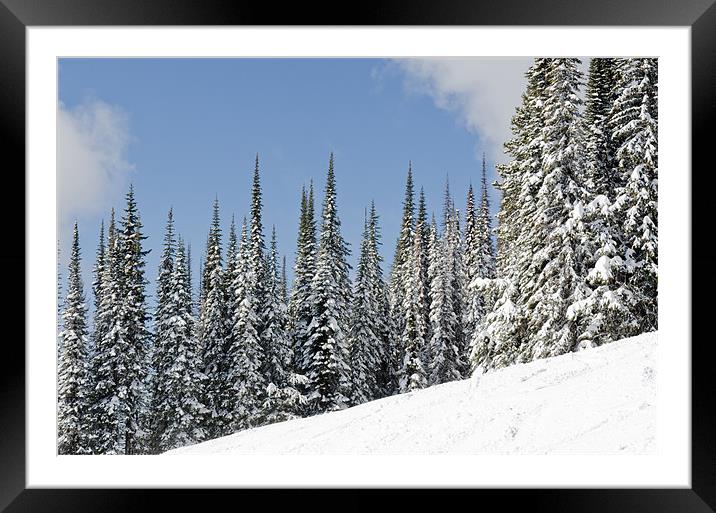 SILVERSTAR HILL snow covered alpine meadow silver star Framed Mounted Print by Andy Smy