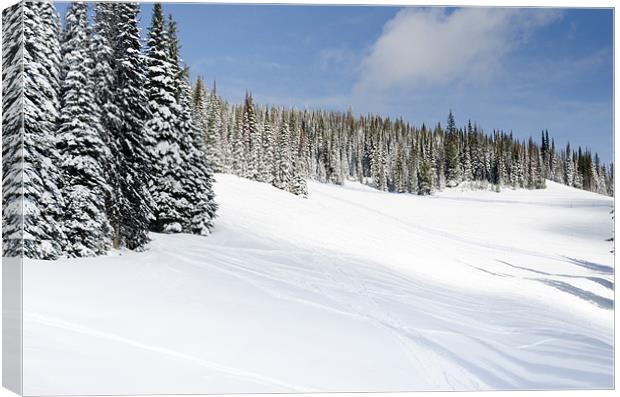 SILVERSTAR MEADOW snow covered alpine meadow silver star Canvas Print by Andy Smy