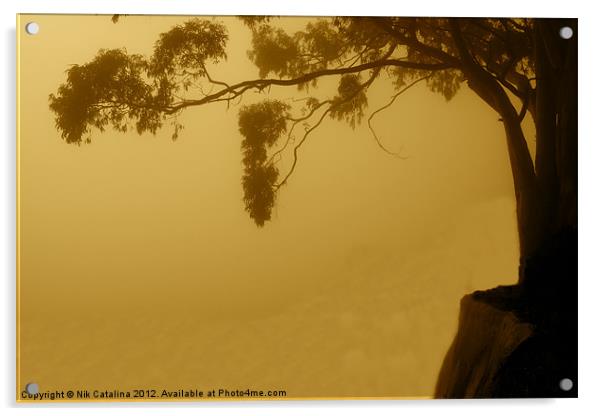 Foggy Abyss Acrylic by Nik Catalina