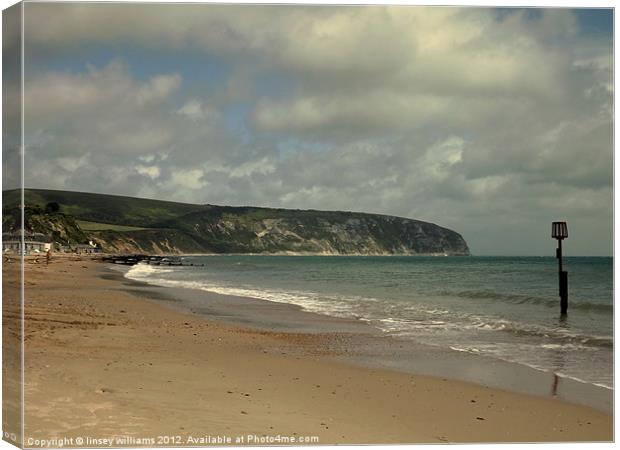 Purbeck Isle Canvas Print by Linsey Williams