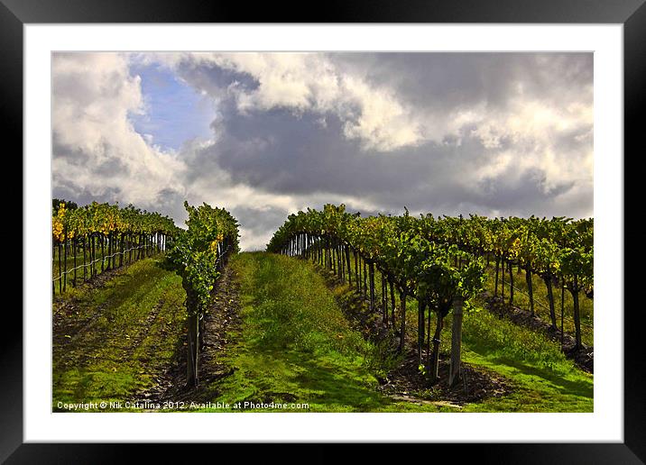 Storm Sky Vineyard Framed Mounted Print by Nik Catalina