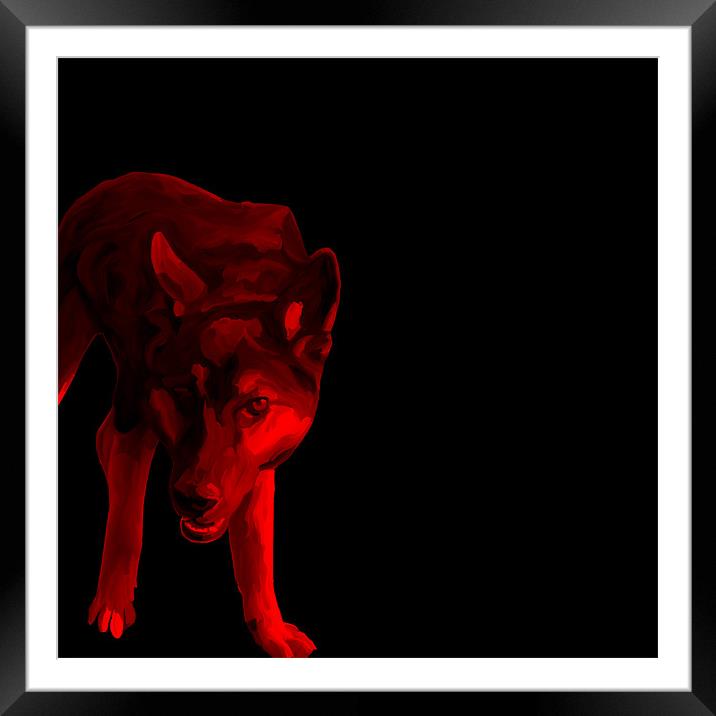 Red Dog Framed Mounted Print by Trevor Butcher