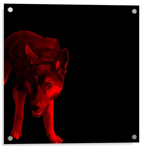 Red Dog Acrylic by Trevor Butcher