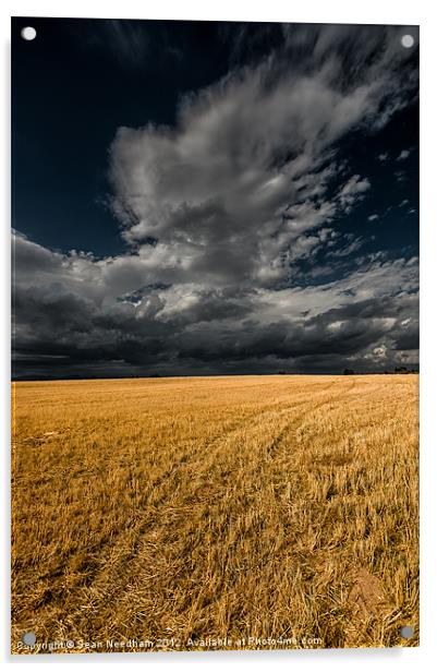 Cloud over corn stubble. Acrylic by Sean Needham