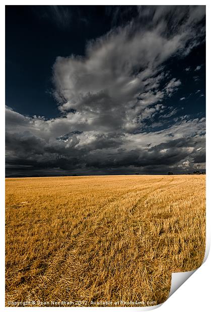 Cloud over corn stubble. Print by Sean Needham