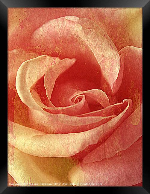 Rose textures (Strawberries & Cream). Framed Print by Rosanna Zavanaiu