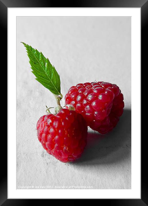 one leaf Rasberrys Framed Mounted Print by Lee Daly