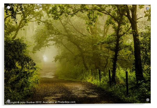 Misty Woodland Lane Acrylic by John Dunbar