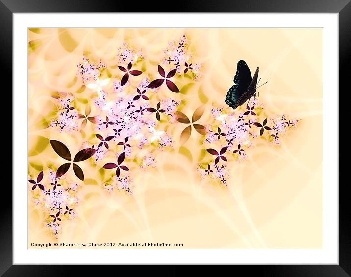 Butterflies Paradise Framed Mounted Print by Sharon Lisa Clarke
