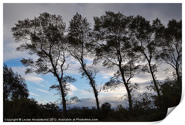 Bent by the Wind Print by Louise Heusinkveld