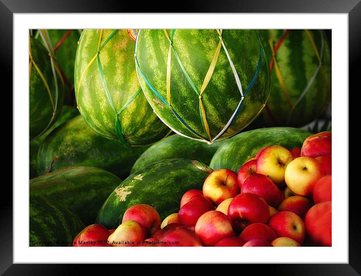   misc  ...Watermelons and Apples Framed Mounted Print by Elaine Manley
