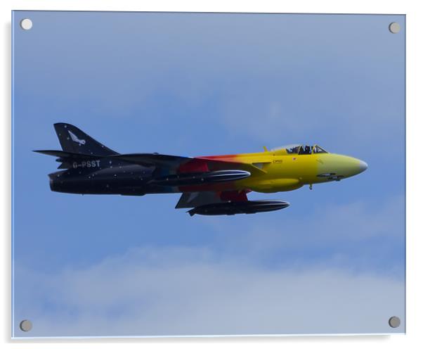 Miss Demeanour Acrylic by Northeast Images