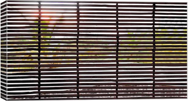 Sun over trees through Bamboo blinds Canvas Print by Arfabita  