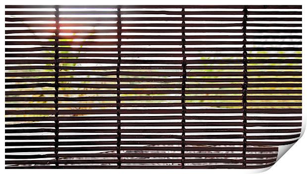 Sun over trees through Bamboo blinds Print by Arfabita  